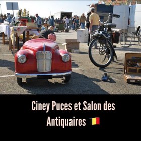 Ciney Puces et Salon des Antiquaires (Бельгия)